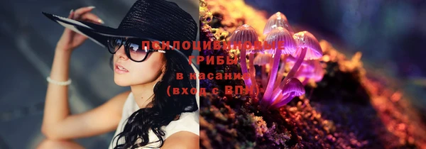 прущие крисы Семилуки