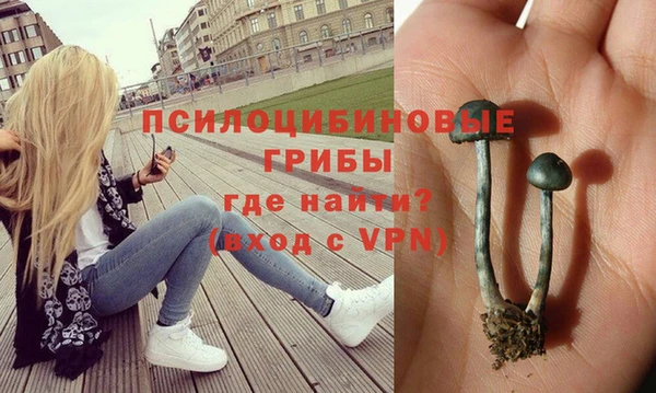 соль курить ск Алексеевка