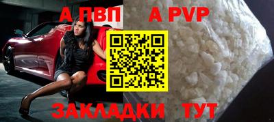 крисы Шебекино