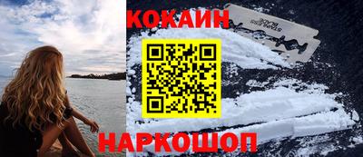 крисы Шебекино