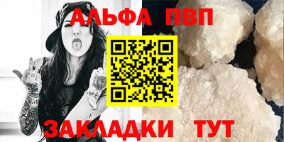 крисы Шебекино