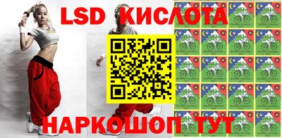 стаф Шелехов