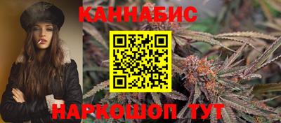 стаф Шелехов