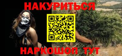 стаф Шелехов