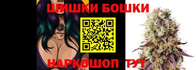стаф Шелехов
