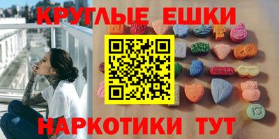 стаф Шелехов